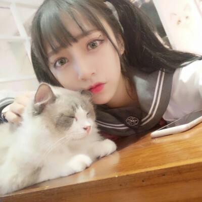 凯蒂猫英雄游戏下载